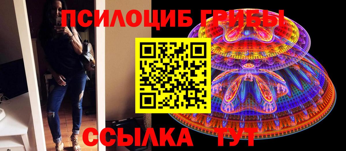 Псилоцибиновые грибы Magic Shrooms Москва
