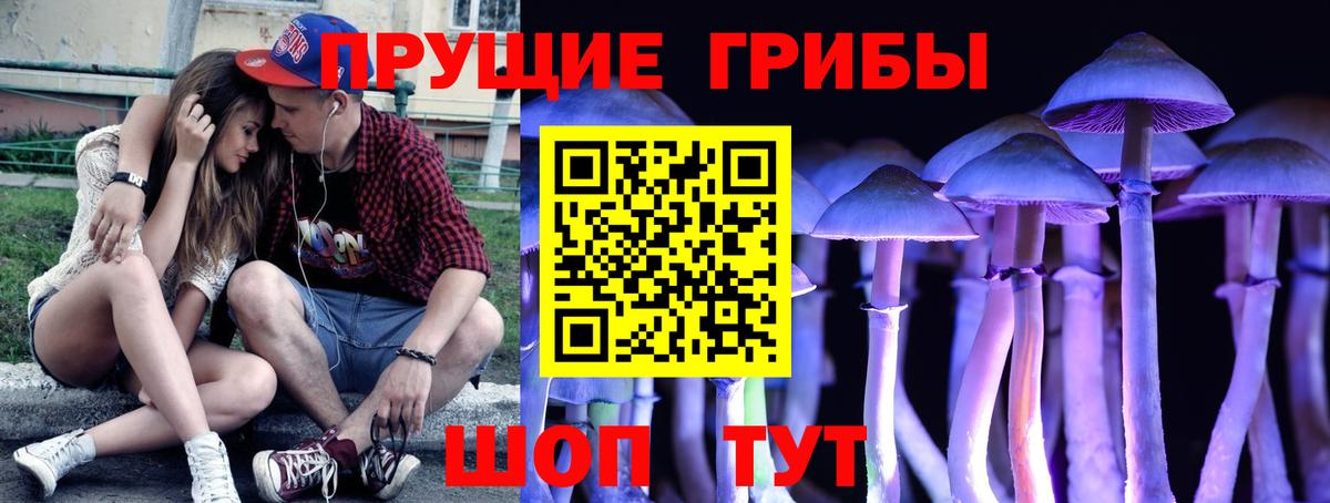 Галлюциногенные грибы Magic Shrooms  Галлюциногенные грибы Psilocybine cubensis  Вход с VPN  Москва 
